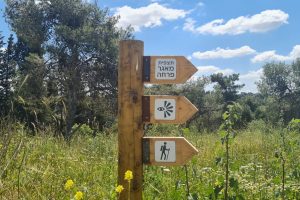 מאגר גלעד רמות מנשה - חניון אורן זמיר