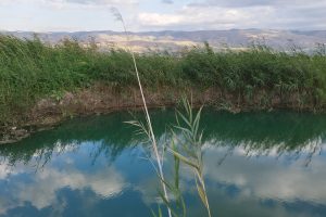 עין זרד - ארץ המעיינות בבקעת הירדן - באדיבות דוברות ארצנו