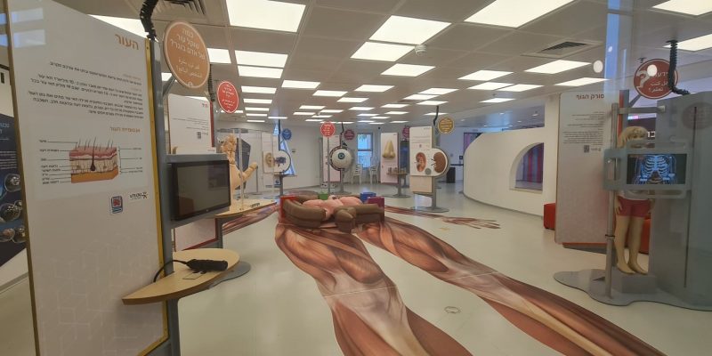 תערוכת "הידעת" - מוזיאון הרפואה בטכנודע