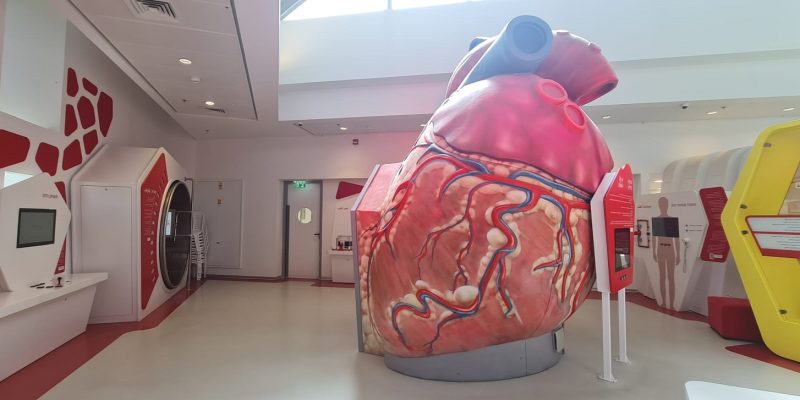 תערוכת "הלב" - מוזיאון הרפואה בטכנודע
