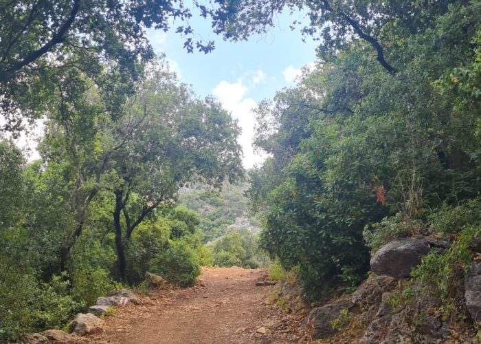 נחל כלח שוויצריה הקטנה