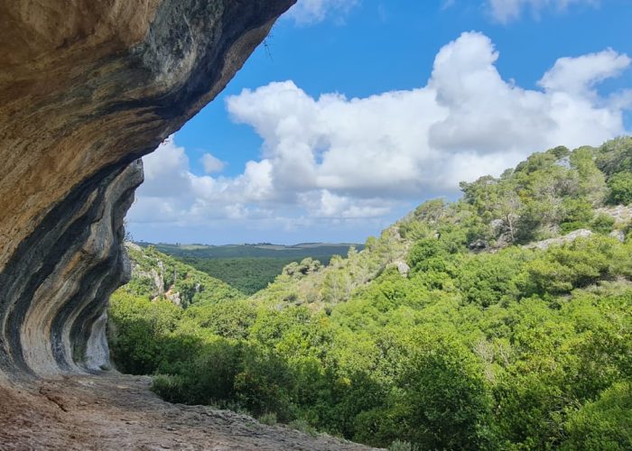 הצניר בנחל כלח – שוויצריה הקטנה פארק הכרמל