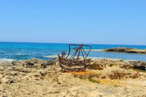 שמורת הטבע וגן לאומי תל דור