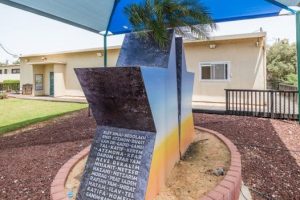 מרכז קטיף קרדיט צילום הנרי צבי כהן