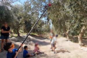 משק רויניק חוויה חקלאית בבית שערים