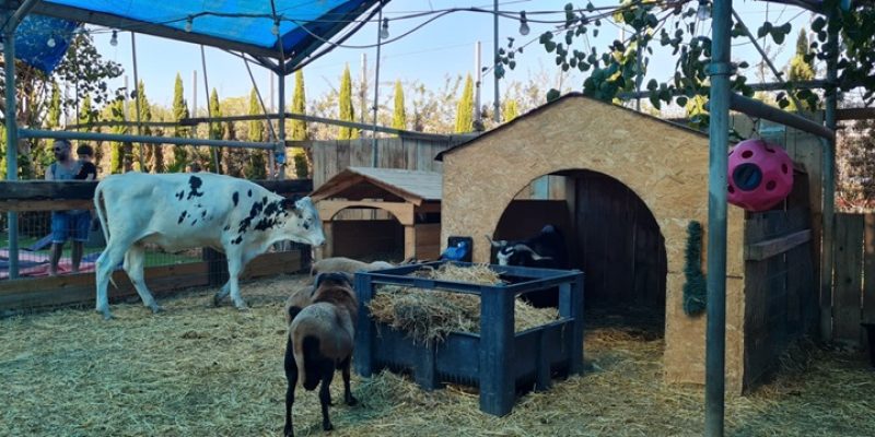 כפר הארנבונים חוות נגר – בית לחם הגלילית