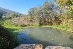 מעיין אלרואי - טיילת רכבת העמק