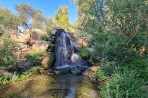 מפל שמיר בקיבוץ שמיר