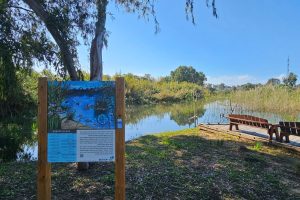 בריכת החורף הרצליה