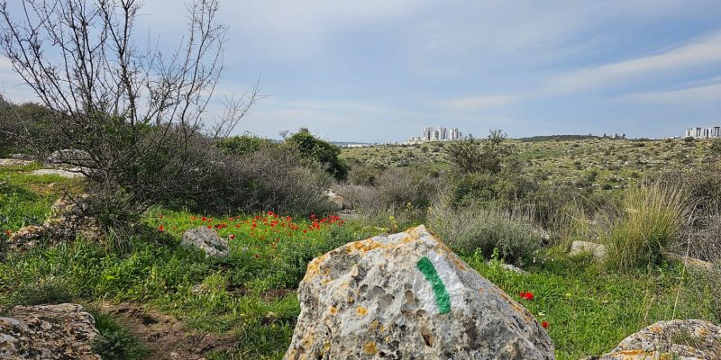 גבעת שר: מסלול פריחה עם נוף ושרידי ארכאולוגיה