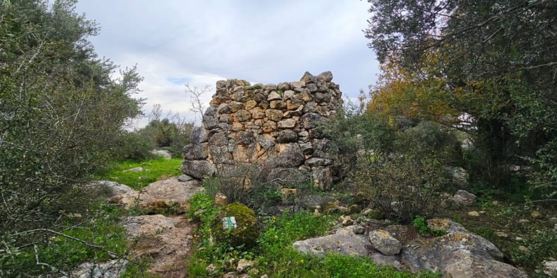 גבעת שר: מסלול פריחה עם נוף ושרידי ארכאולוגיה