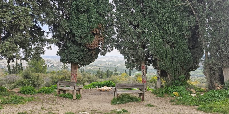 גבעת הברושים: מסלול פריחה ותצפית על הרי יהודה
