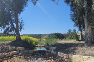 פארק האקליפטוס נחל ירמות: פארק מעיינות אורי-ישעי