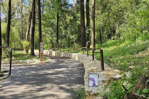 המסלול הנגיש של נחל השופט לאחר השיפוץ