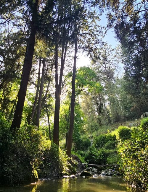 נחל גחר עליון