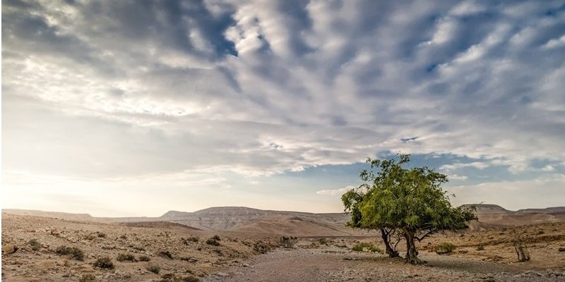 נחל חימר - נוף עוצר נשימה