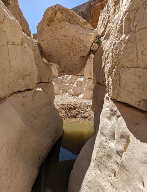 נחל דרגה: מסלול אתגרי בשמורת טבע מצוק העתקים