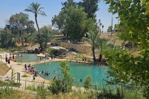 עין הנציב - לאחר השיפוץ