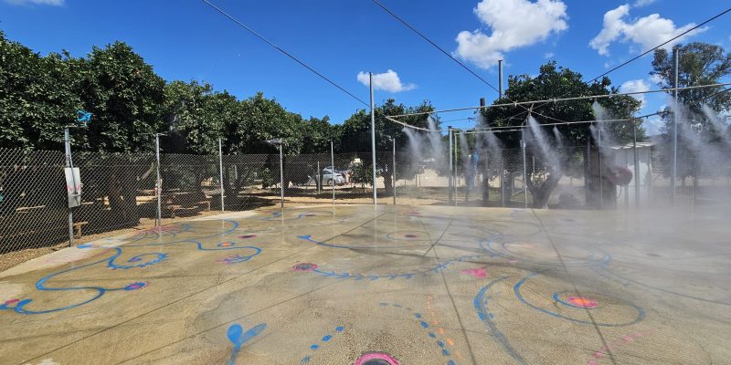 שביל התפוזים: הרפתקה לכל המשפחה בלב פרדס