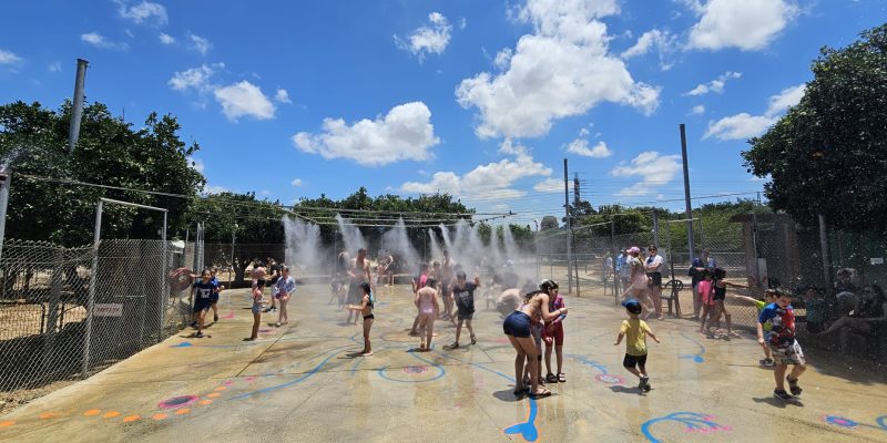 שביל התפוזים: הרפתקה לכל המשפחה בלב פרדס