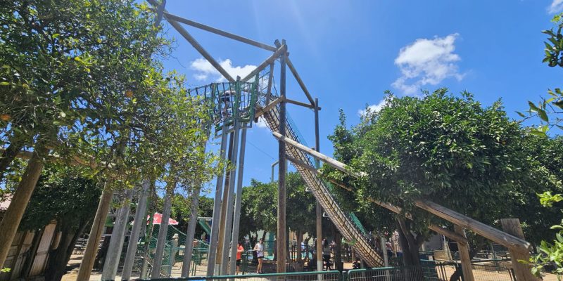 שביל התפוזים: הרפתקה לכל המשפחה בלב פרדס