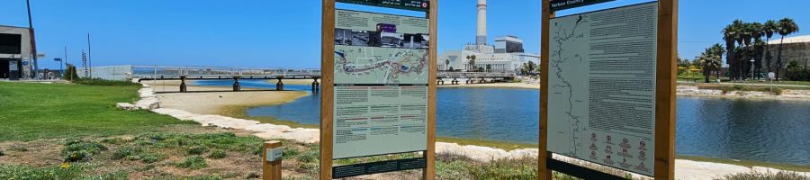 פארק רידינג תל אביב: מרחבים ירוקים, ים פתוח וטיילת רידינג נגישה