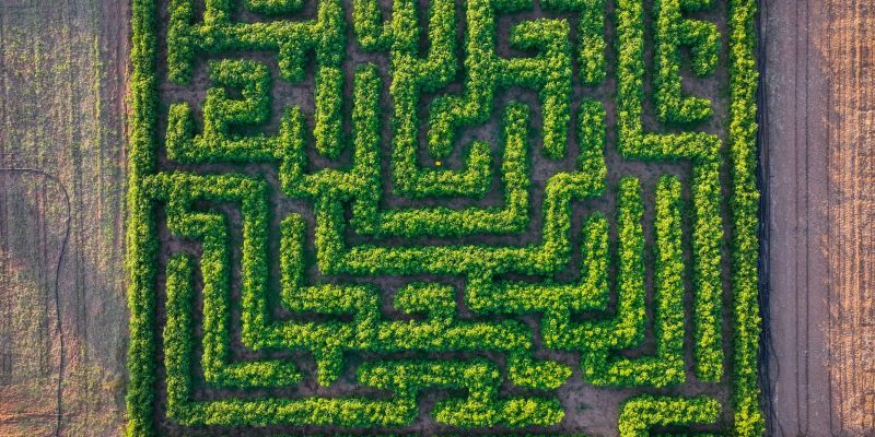 באדיבות: קלחים ומבוכים