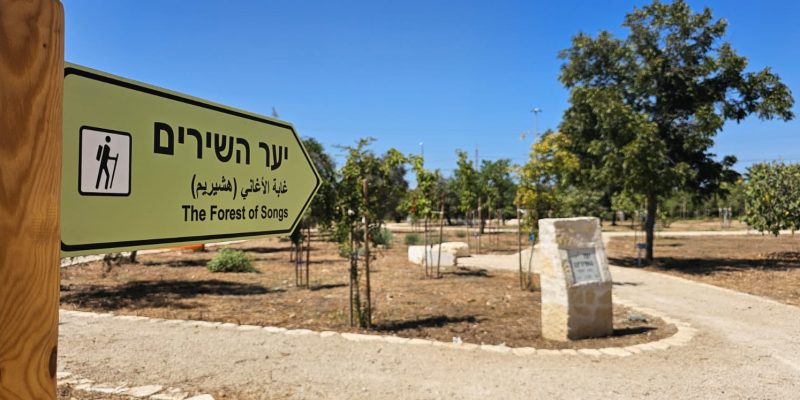 יער השירים ושלולית החורף בפתח תקווה