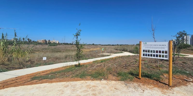 יער השירים ושלולית החורף בפתח תקווה