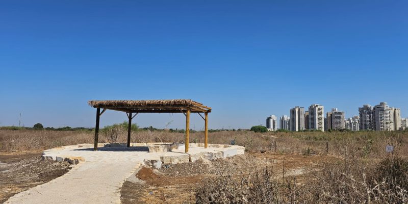 יער השירים ושלולית החורף בפתח תקווה