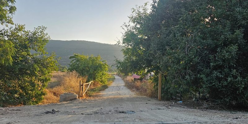 זו הפניה ימינה לשדות