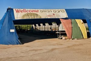 שף שמש חממת חמשת החודשים – חקלאות מדברית