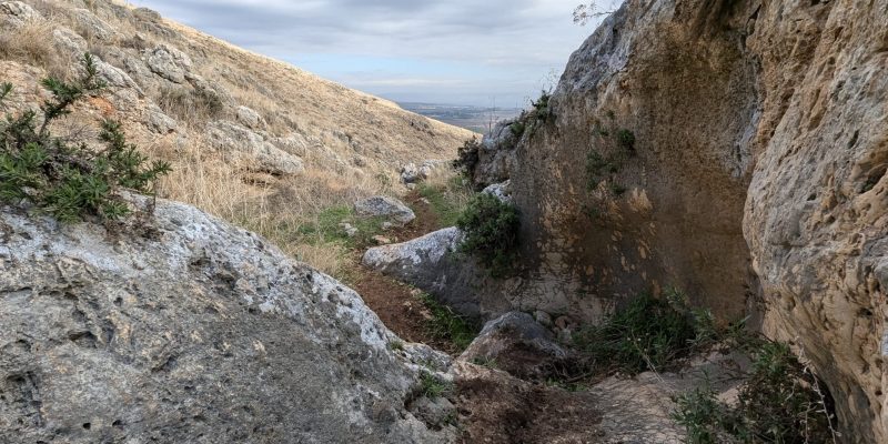 נחל צביה ומתלול אבינדב: שמורת טבע גלבוע מזרחי