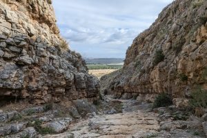 נחל צביה ומתלול אבינדב: שמורת טבע גלבוע מזרחי