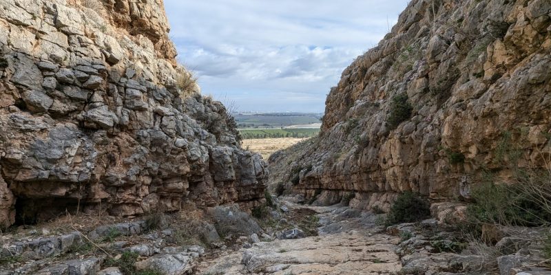 נחל צביה ומתלול אבינדב: שמורת טבע גלבוע מזרחי