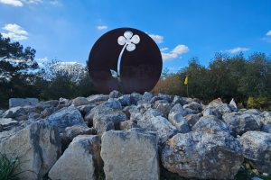 הפרח החסר בראש פסגת ההר העגול