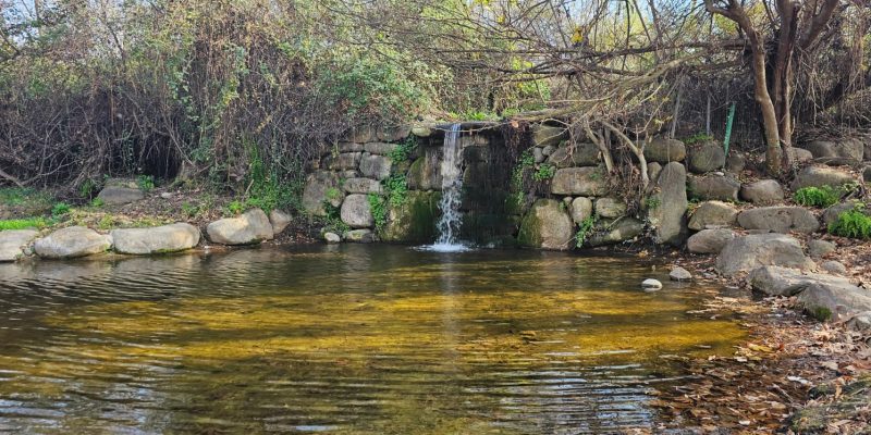 שמורת הטבע נחל שניר – חצבאני