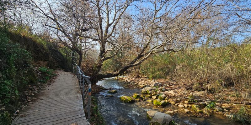 שמורת הטבע נחל שניר – חצבאני