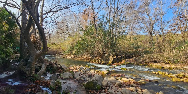 שמורת הטבע נחל שניר – חצבאני