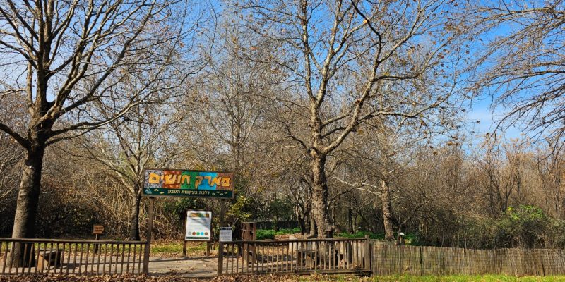 שמורת הטבע נחל שניר – חצבאני