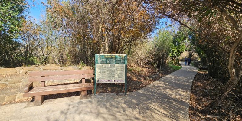 שמורת הטבע תל דן