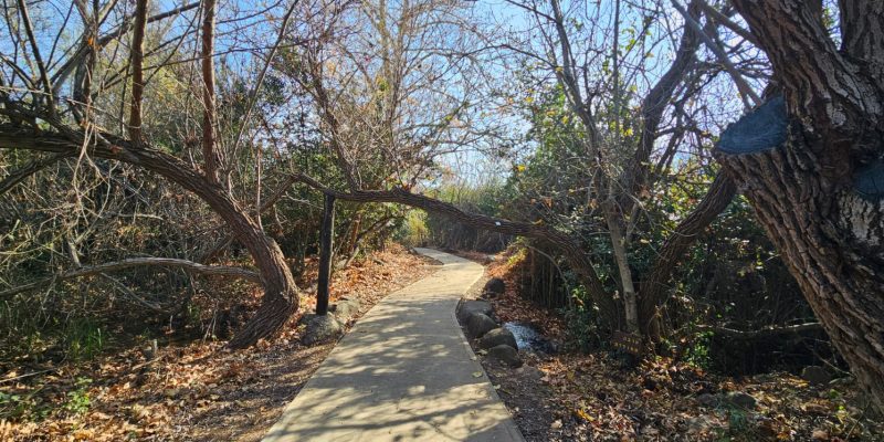 שמורת הטבע תל דן