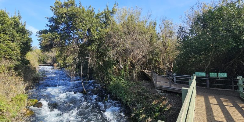 שמורת הטבע תל דן