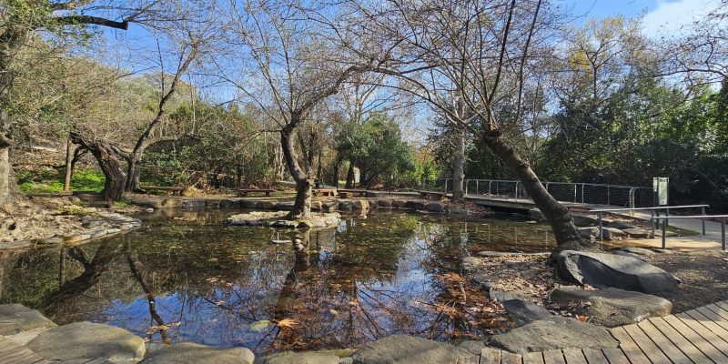 שמורת הטבע תל דן