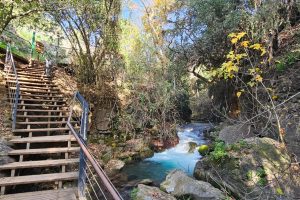 השביל התלוי ומפל הבניאס נחל חרמון