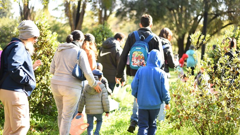 חגיגות ט"ו בשבט בטבע במרכז מבקרים מקוה ישראל