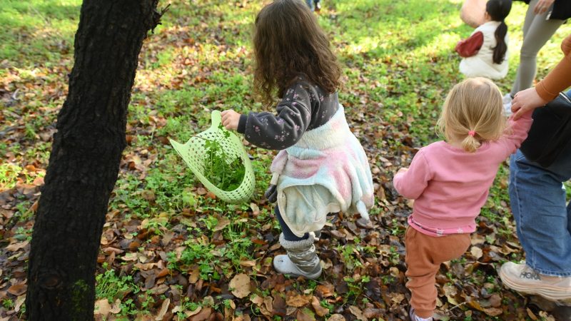 חגיגות ט"ו בשבט בטבע במרכז מבקרים מקוה ישראל