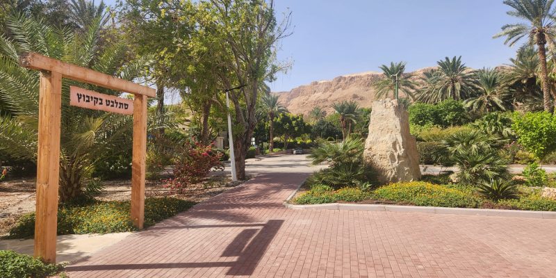 באדיבות כפר הנופש קיבוץ קליה