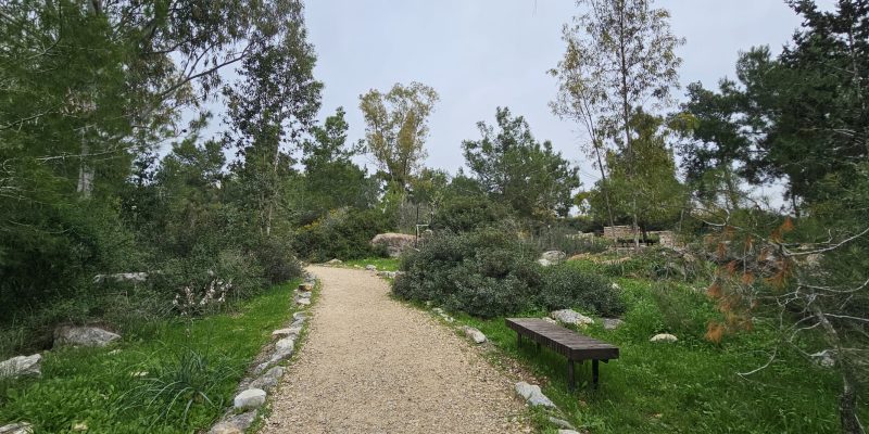 ספסלי מנוחה בשביל היער חריש