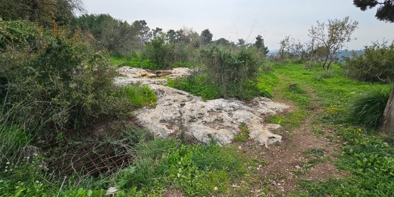 בורות בתל זאבים בחריש